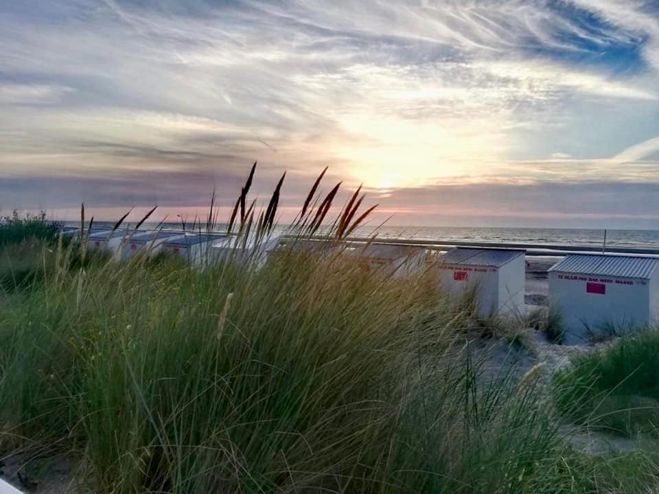 Seayousoon Nieuwpoort-Bad Εξωτερικό φωτογραφία